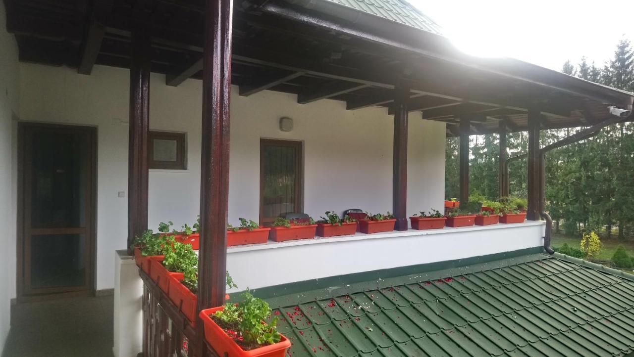 Penzion Casa "Ierusalim-Hozeva-Hozeva" Minastirea Neamt Exteriér fotografie